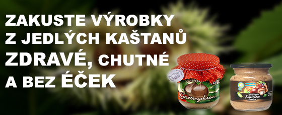 kastany.jpg